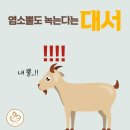 대서에너지