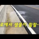 완도샘물