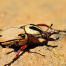산곡초등학교 이미지