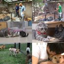 유진랜드 이미지