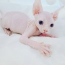 남구-037 이미지