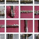 플루트(1년) 이미지