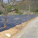 제장민박 이미지