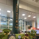 서프키키 | 제주공항 가볼 만한 곳｜스튜디오 지브리展 in Jeju X 도토리 숲 팝업 방문 후기