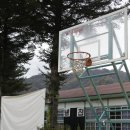 살둔마을 생둔분교 캠핑장 이미지