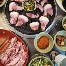 돼지꼬리천국 이미지