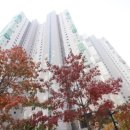 자이단지내 탑 공인중개사사무소 이미지