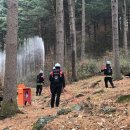 국립자연휴양림관리소(동부지역팀 청태산자연휴양림) 이미지