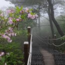 대운상대길 이미지