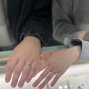 티파니 가든 | 백화점 웨딩밴드 투어 후기 (feat. 쇼메, 다미아니, 불가리, 까르띠에, 반클리프, 부쉐론, 티파니...