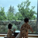 스테이도민 | 제주 에어비앤비 추천 아이랑 동쪽 감성숙소 미깡밭스테이 삼삼은구 후기