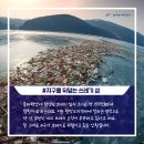 상영환경 이미지