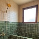 브로콜리삼춘 이미지