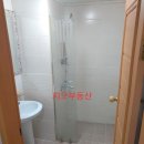 세원 네스텔 이미지