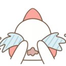 코코비나 이미지