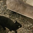 한마음정육식당 방동점 이미지