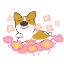 오끼연신내