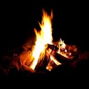 모닥불 이미지