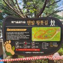 대명세차장 | 성북구 북서울꿈의숲 황톳길 맨발걷기 후기(효능, 위치)
