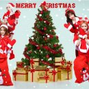 (12/13)크리스마스 미니트리 아시아경제
