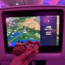 (주) 브이아이피투어 | 251107-251109 RIIZING LOUD IN SEATTLE 보겠다고 미국을 1박3일 다녀온 이야기