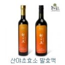 효정원 | 태백산 눈꽃 축제로 초대된 테마 기차여행