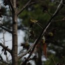 칠보중학교 이미지