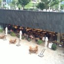 플라잉팬 이미지