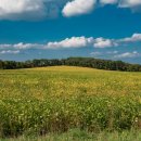 부동산맥공인중개사사무소 이미지