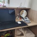 체리쉬퍼피 이미지