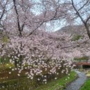 태백동 공영주차장 이미지