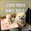 와들스 케이크 | 서초 양재 강아지 생일케이크 와들스 케이크