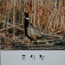 포식정 - 거제시 | 포식정