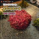 육회말투아웃 (송탄점) | 경기 평택 육회말투아웃 평택역점 깔끔하고 감칠맛 폭발인 육회 맛집