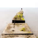 바다로 가는 사람들 이미지