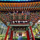 하동3구원목노인정 | 하동 천년고찰 쌍계사(雙磎寺) 탐방