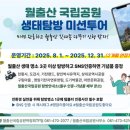 월출산국립공원 천황야영장 네이버블로그
