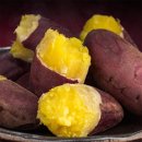 삼기농장 이미지