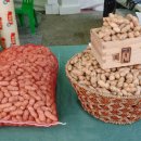 김영길농장 이미지