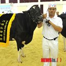 그랜드목장 이미지