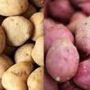 양덕동193 이미지