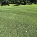 골프존카운티 안성H 이미지