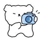 하리애견 이미지