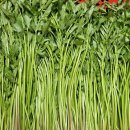 빛나농장 이미지