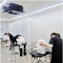 그룸빌 애견미용전문학원 네이버블로그