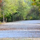 솔밭펜션캠핑장 이미지