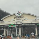 에버랜드 정문주차장 | 에버랜드 정문 유료주차장 통신사 할인 입장권구매 후기