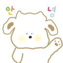 로즈베이호텔 네이버블로그