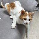 오구(59)국밥 - 24650 | [임신기록]18주차 일상 및 증상