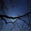 흰구름 맑은달 이미지